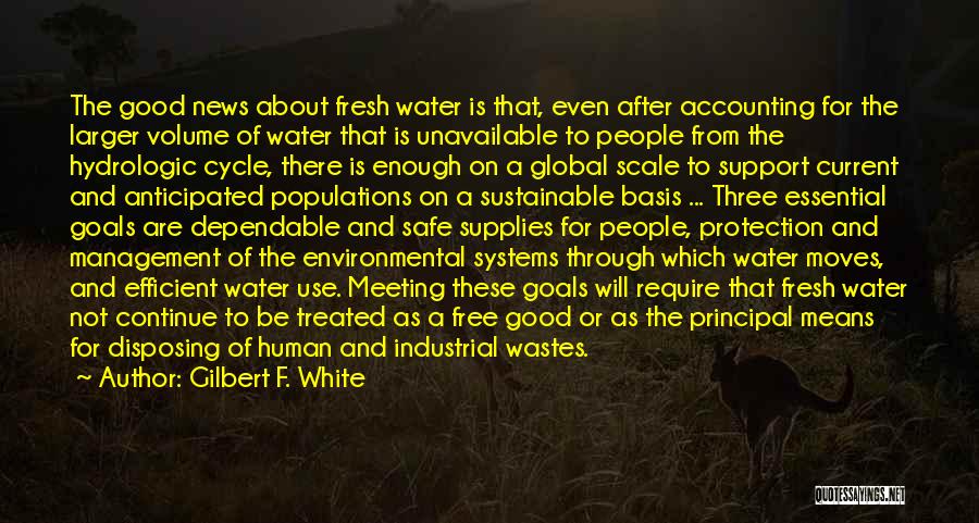 Good Accounting Quotes By Gilbert F. White