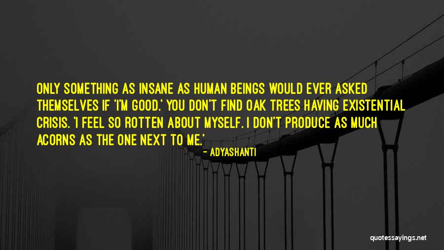 Good Acorns Quotes By Adyashanti Good Acorns Quotes By Adyashanti