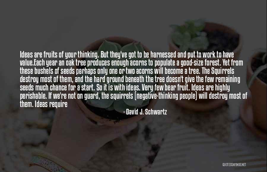 Good Acorns Quotes By David J. Schwartz