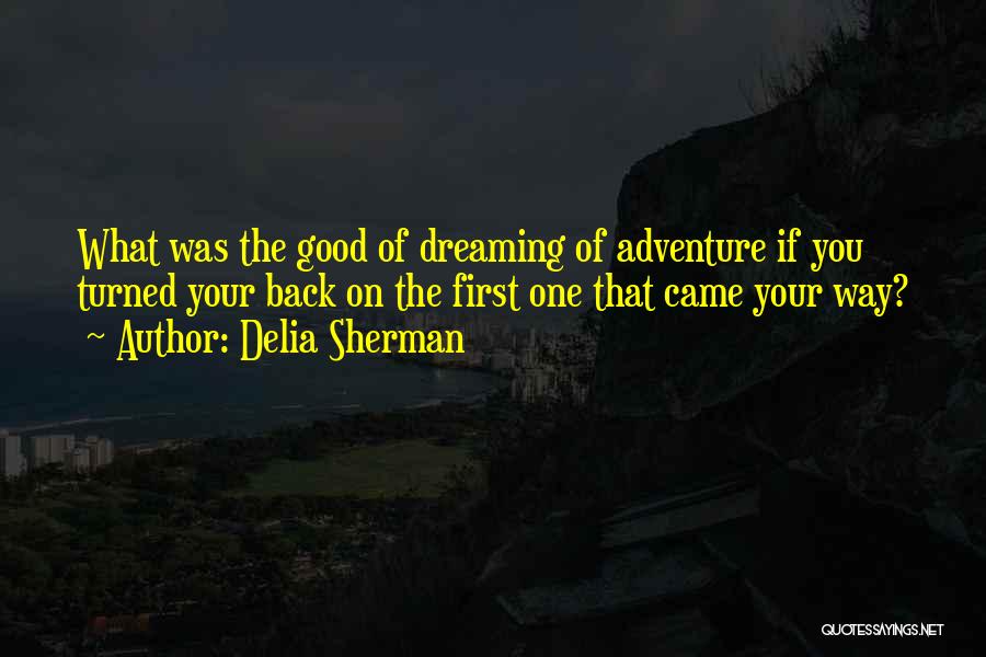 Good Adventure Quotes By Delia Sherman