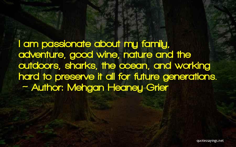 Good Adventure Quotes By Mehgan Heaney-Grier