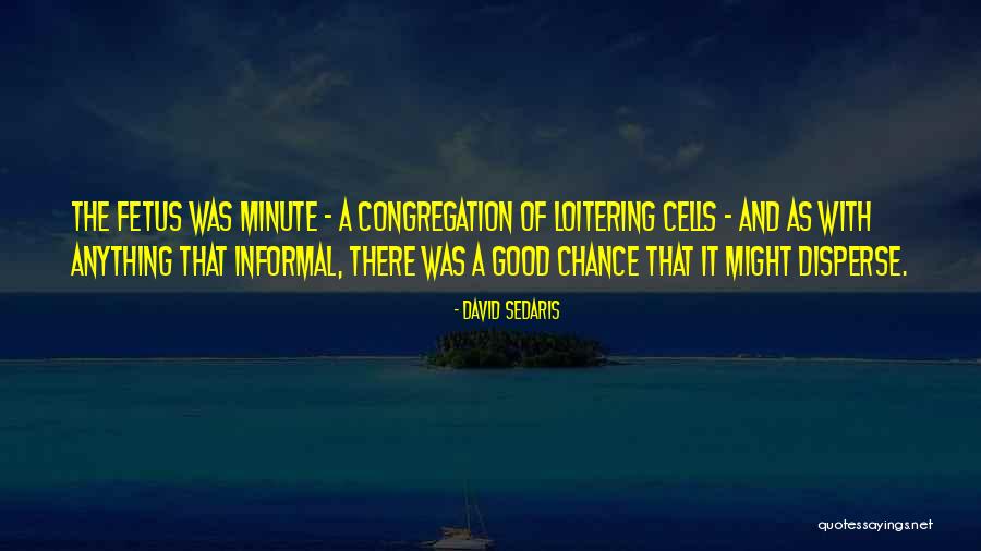 Good Afternoon Icons Quotes By David Sedaris Good Afternoon Icons Quotes By David Sedaris
