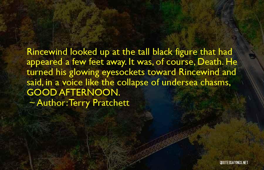 Good Afternoon Quotes By Terry Pratchett