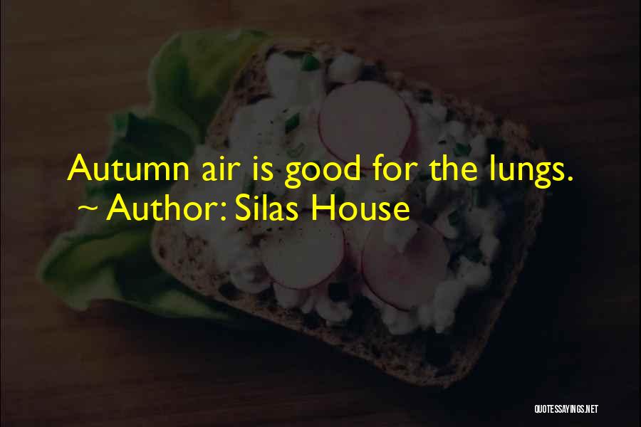 Good Air Quotes By Silas House