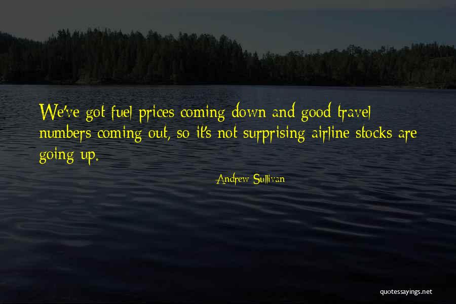 Good Airline Quotes By Andrew Sullivan Good Airline Quotes By Andrew Sullivan