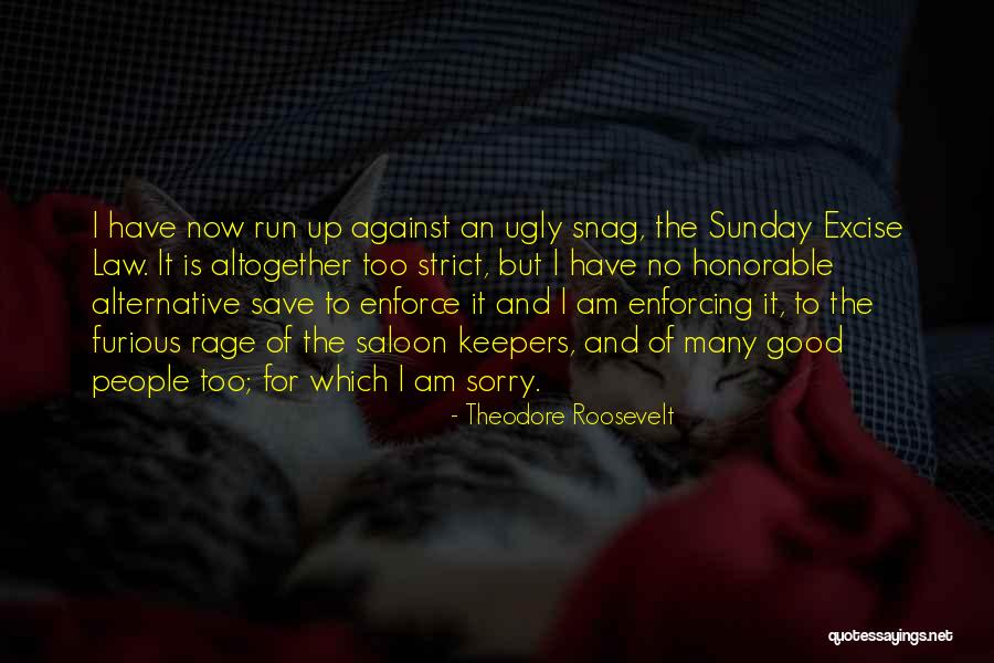 Good Alternative Quotes By Theodore Roosevelt Good Alternative Quotes By Theodore Roosevelt