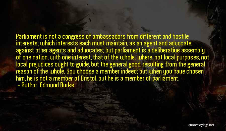 Good Ambassadors Quotes By Edmund Burke