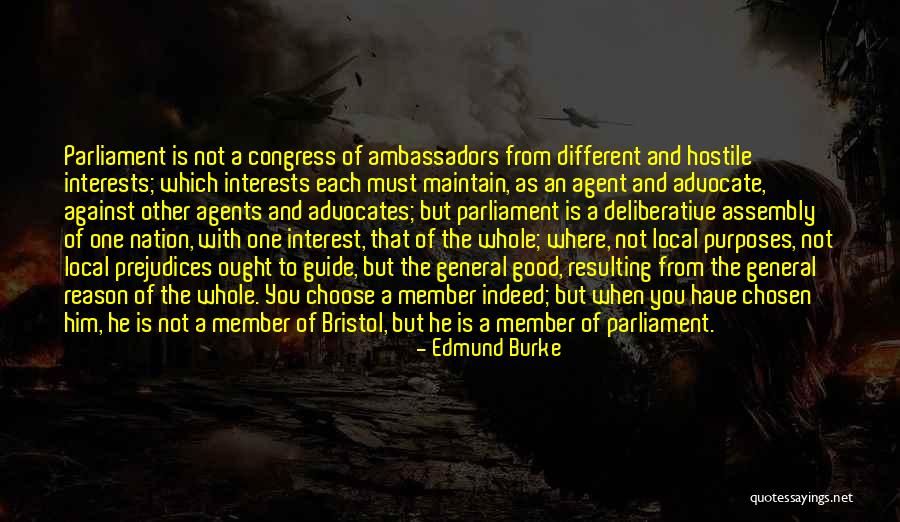 Good Ambassadors Quotes By Edmund Burke Good Ambassadors Quotes By Edmund Burke