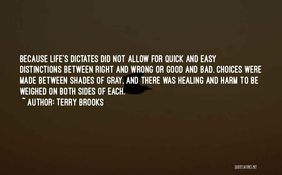 Good And Bad Choices Quotes By Terry Brooks