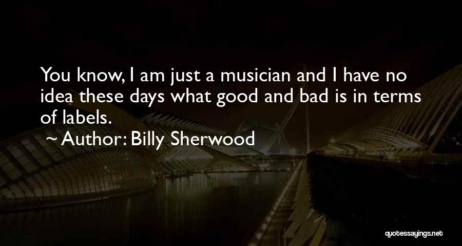 Good And Bad Days Quotes By Billy Sherwood