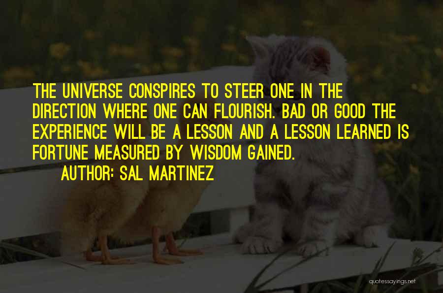 Good And Bad Experiences Quotes By Sal Martinez