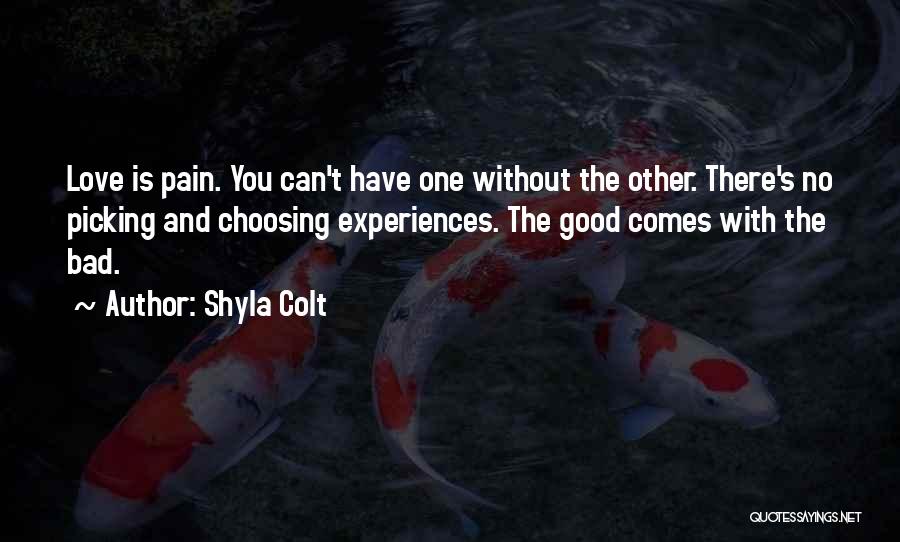 Good And Bad Experiences Quotes By Shyla Colt