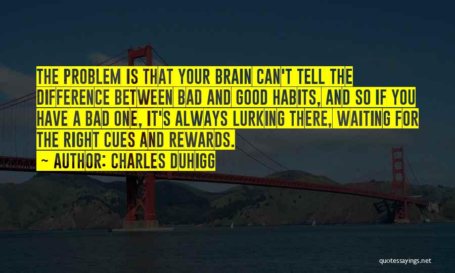 Good And Bad Habits Quotes By Charles Duhigg