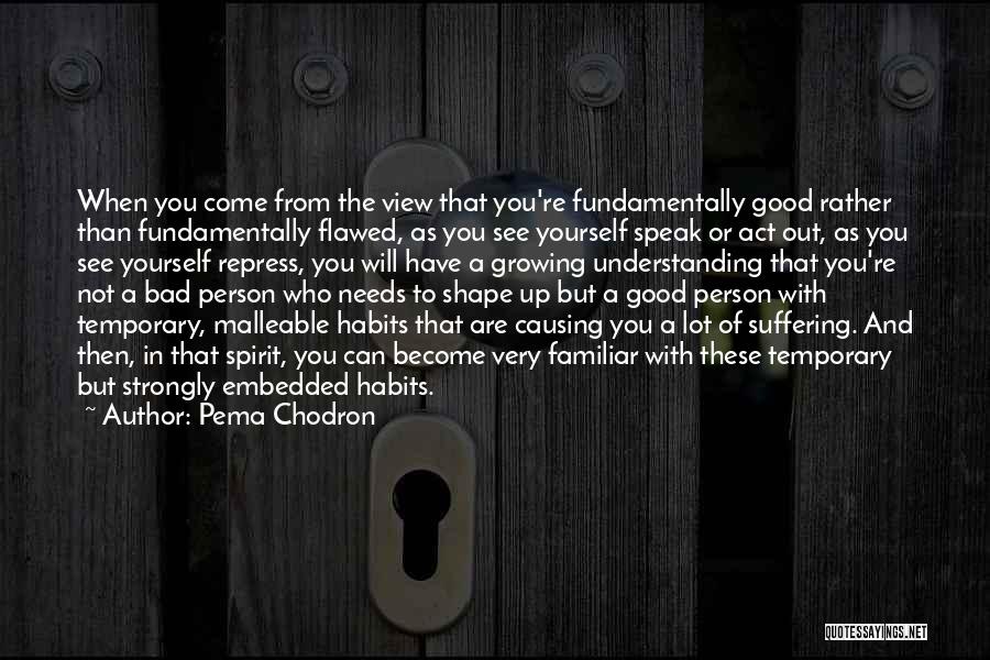 Good And Bad Habits Quotes By Pema Chodron