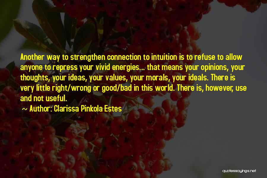Good And Bad Ideas Quotes By Clarissa Pinkola Estes
