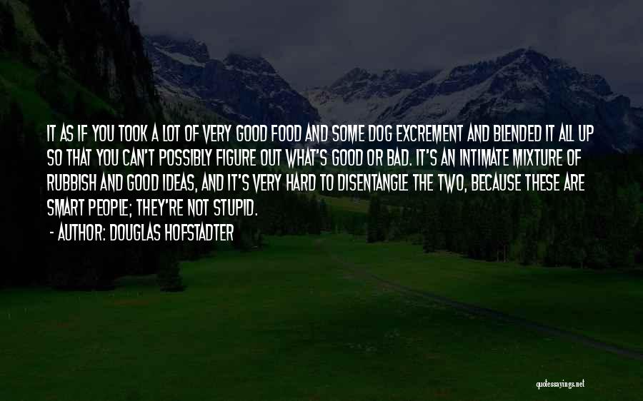 Good And Bad Ideas Quotes By Douglas Hofstadter