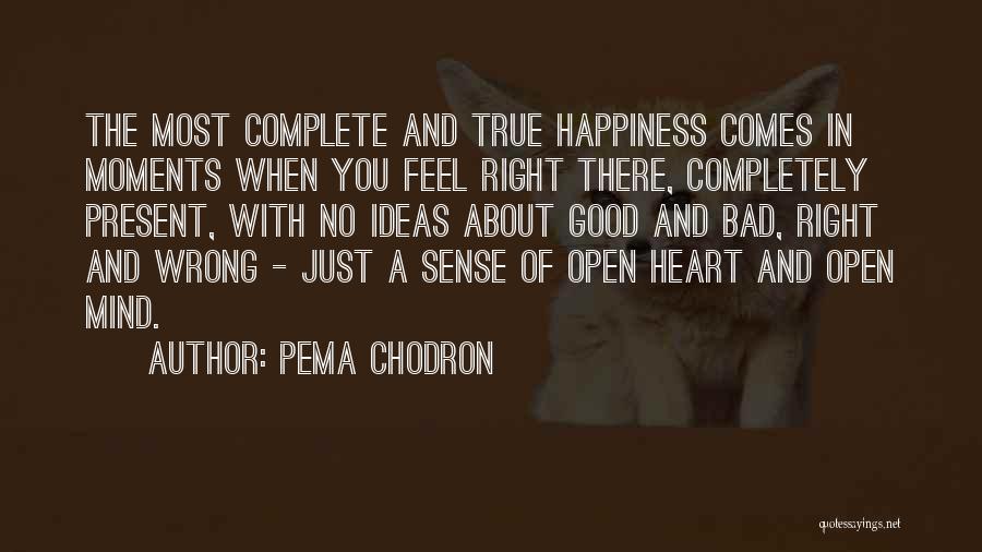 Good And Bad Ideas Quotes By Pema Chodron