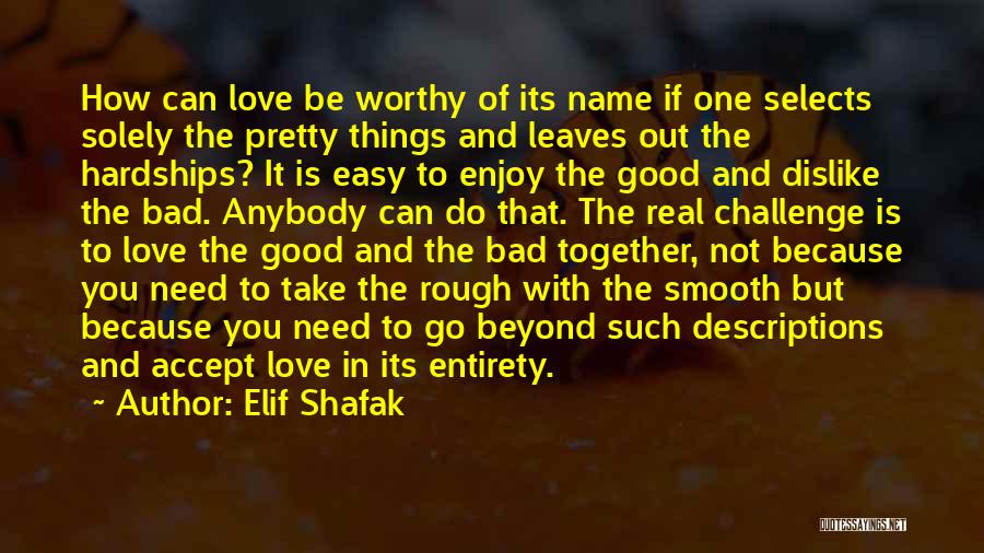 Good And Bad Love Quotes By Elif Shafak