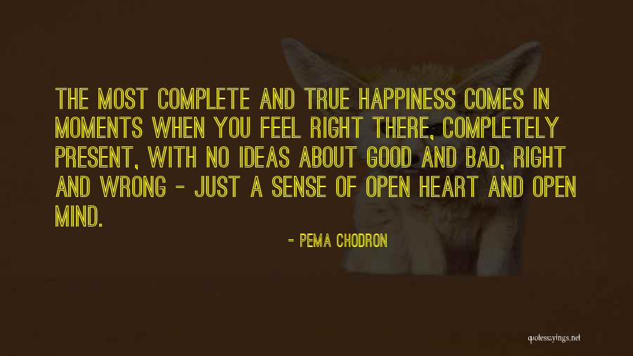 Good And Bad Moments Quotes By Pema Chodron Good And Bad Moments Quotes By Pema Chodron