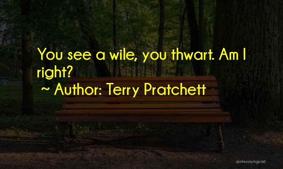 Good And Evil Funny Quotes By Terry Pratchett