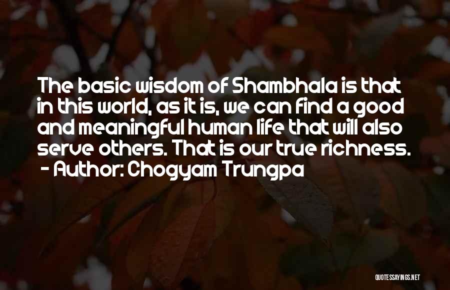 Good And Meaningful Quotes By Chogyam Trungpa