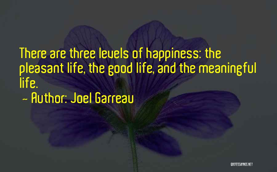 Good And Meaningful Quotes By Joel Garreau