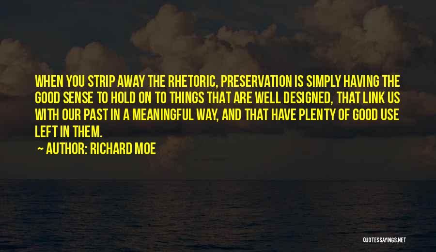 Good And Meaningful Quotes By Richard Moe