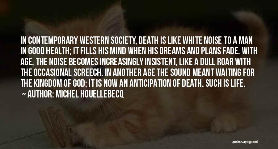 Good Anticipation Quotes By Michel Houellebecq