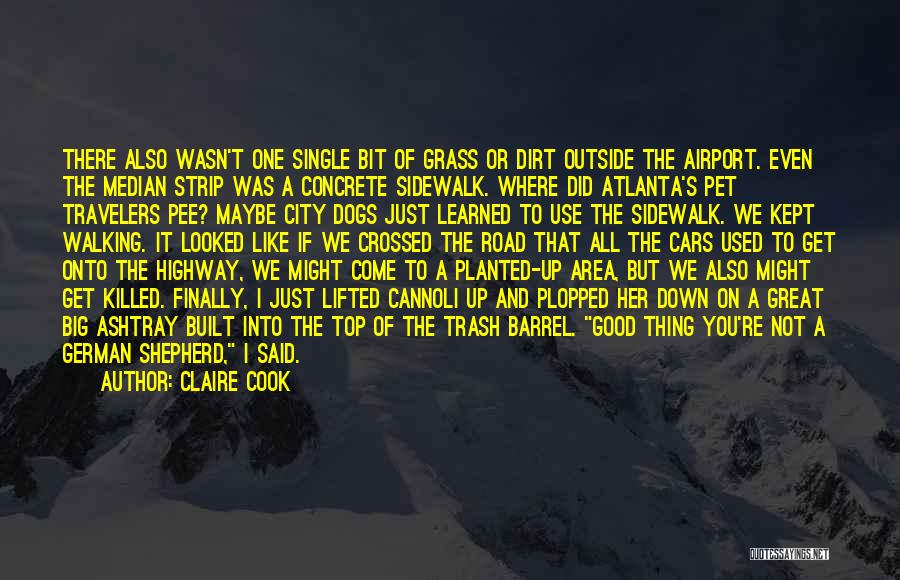 Good Atlanta Quotes By Claire Cook