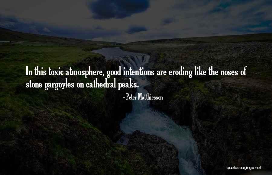 Good Atmosphere Quotes By Peter Matthiessen Good Atmosphere Quotes By Peter Matthiessen