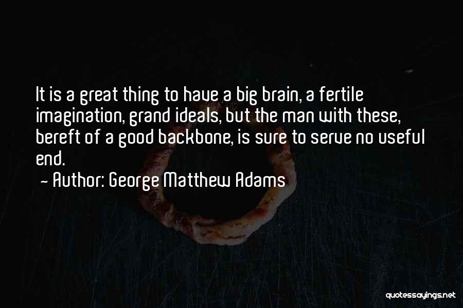 Good Backbone Quotes By George Matthew Adams