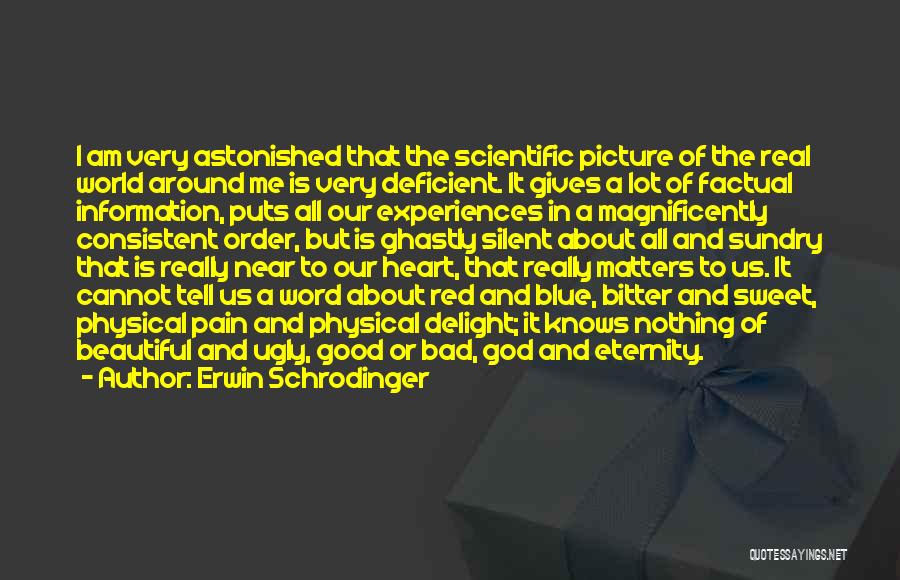 Good Bad And Ugly Quotes By Erwin Schrodinger