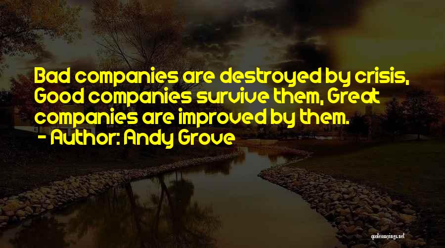 Good Bad Company Quotes By Andy Grove