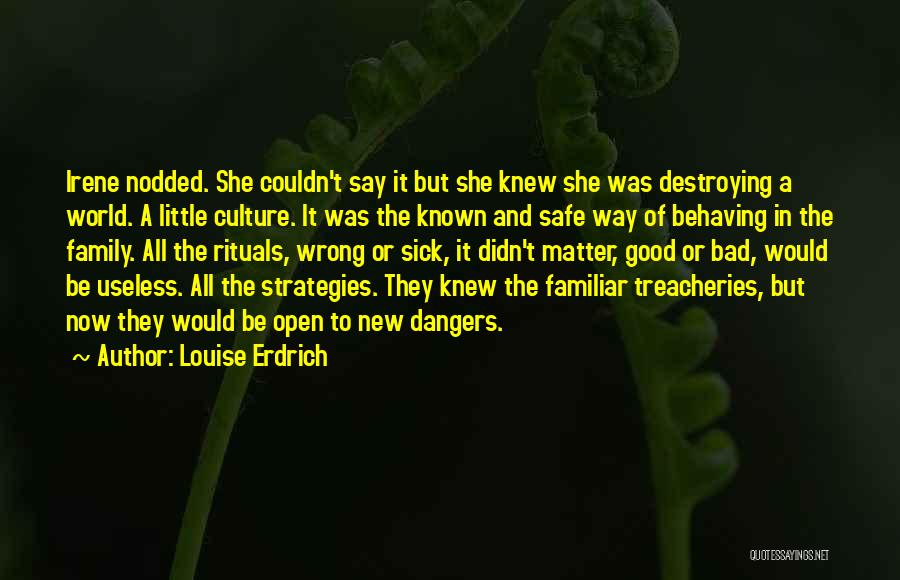 Good Bad Family Quotes By Louise Erdrich