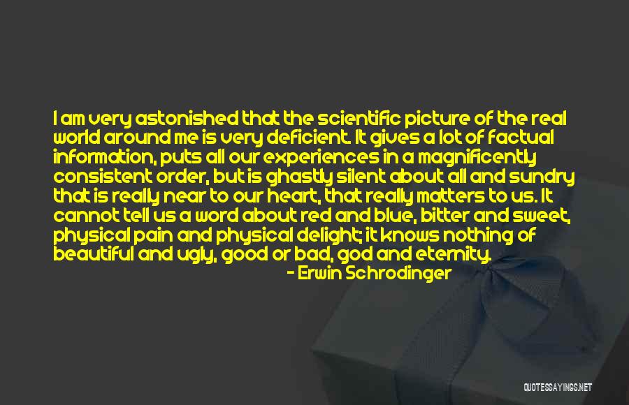 Good Bad The Ugly Quotes By Erwin Schrodinger Good Bad The Ugly Quotes By Erwin Schrodinger