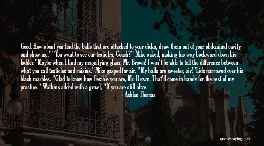 Good Balls Quotes By Ashlan Thomas