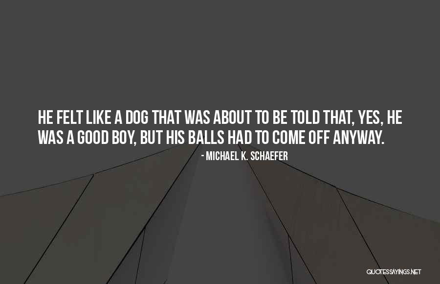 Good Balls Quotes By Michael K. Schaefer