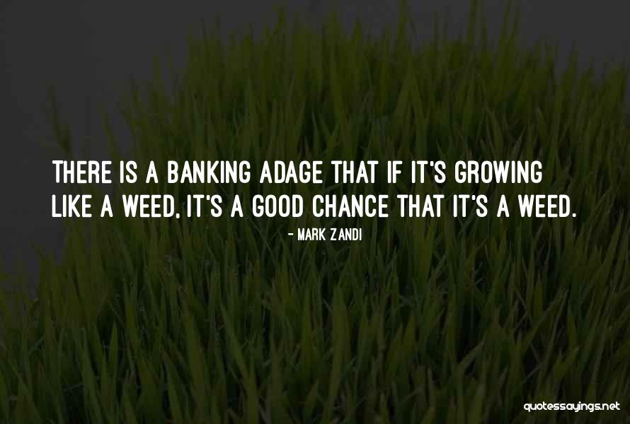 Good Banking Quotes By Mark Zandi Good Banking Quotes By Mark Zandi