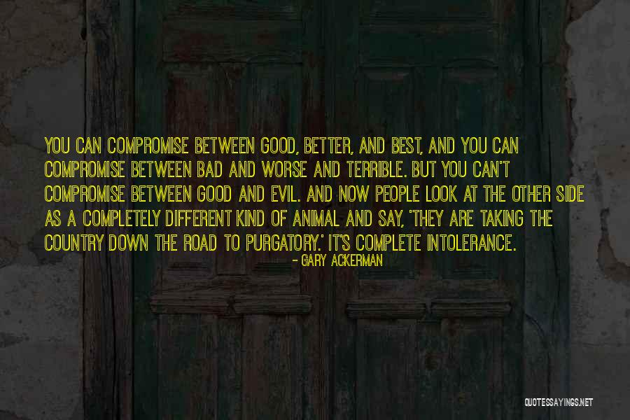 Good Best Better Quotes By Gary Ackerman