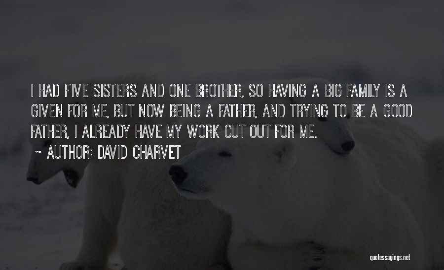 Good Big Family Quotes By David Charvet