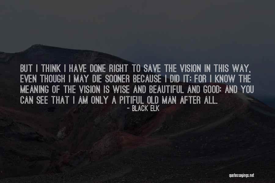 Good Black Man Quotes By Black Elk Good Black Man Quotes By Black Elk
