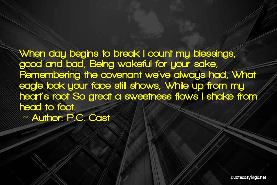 Good Break Up Quotes By P.C. Cast