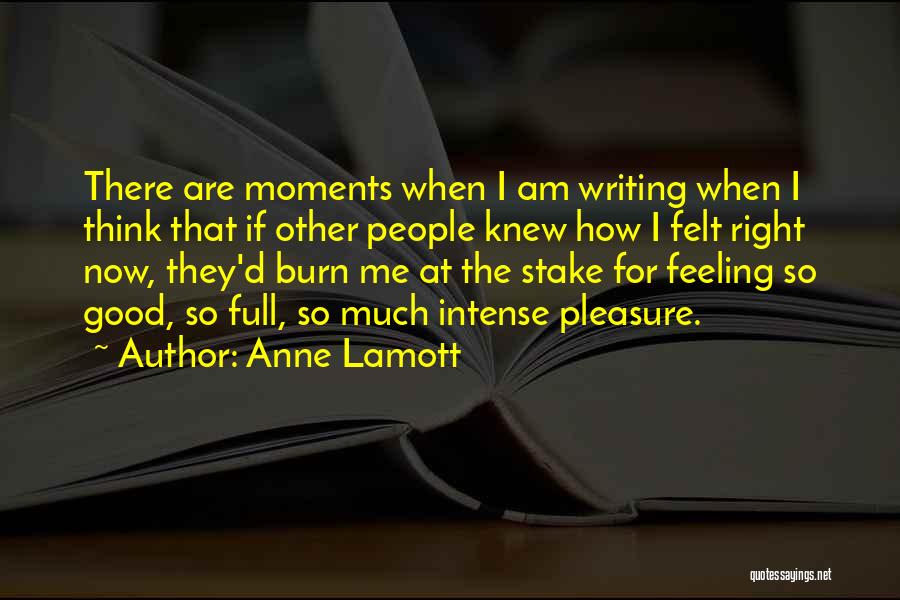 Good Burn Quotes By Anne Lamott