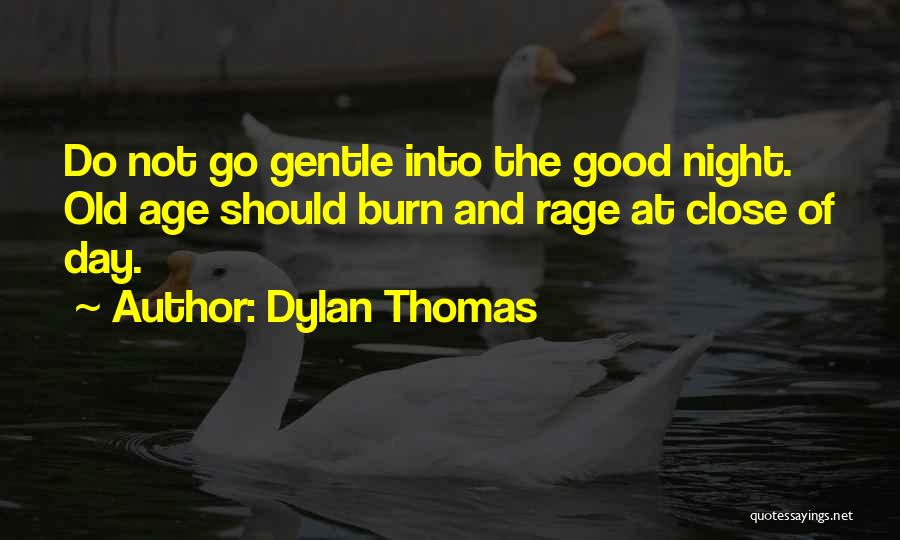 Good Burn Quotes By Dylan Thomas