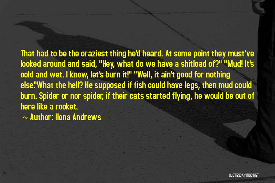 Good Burn Quotes By Ilona Andrews