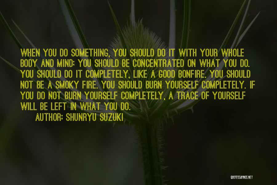 Good Burn Quotes By Shunryu Suzuki