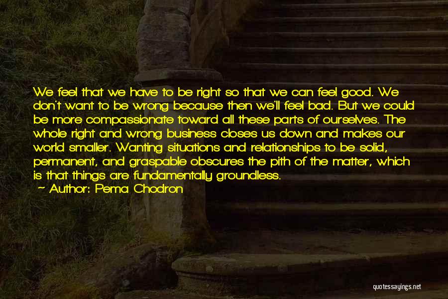 Good Business Relationships Quotes By Pema Chodron