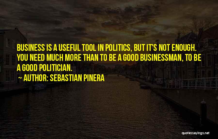 Good Businessman Quotes By Sebastian Pinera