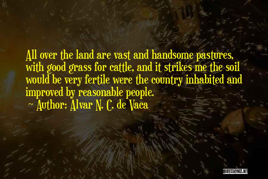 Good Cattle Quotes By Alvar N. C. De Vaca