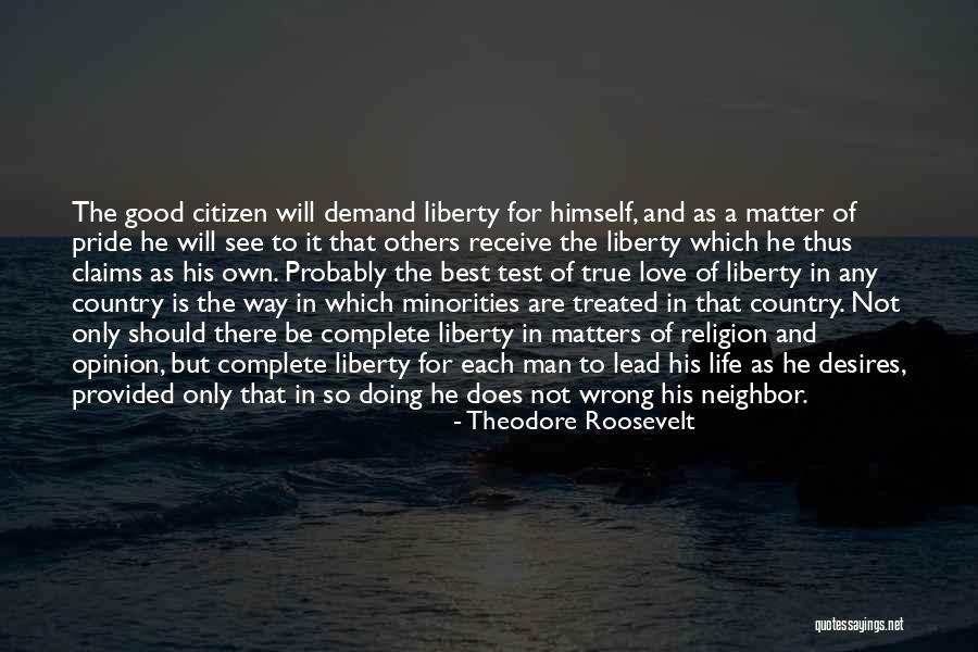 Good Citizen Quotes By Theodore Roosevelt